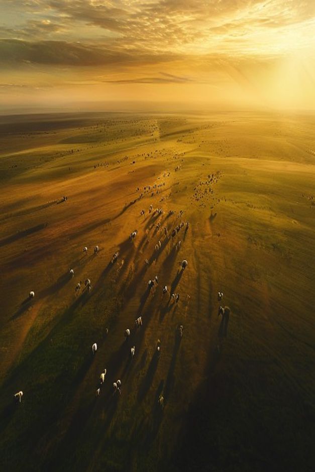 Fazenda de pecuária no cerrado brasileiro